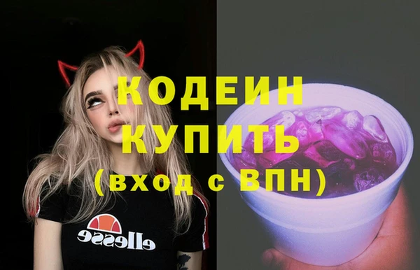 индика Аркадак
