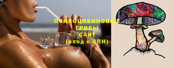 индика Аркадак