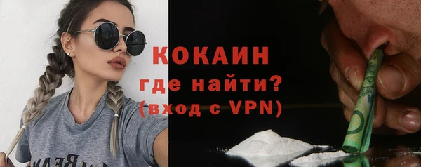 индика Аркадак