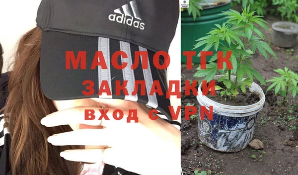 индика Аркадак