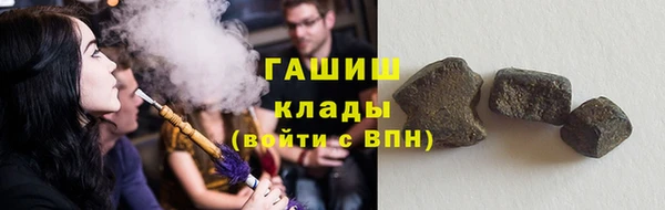 индика Аркадак