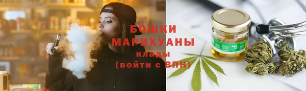 индика Аркадак