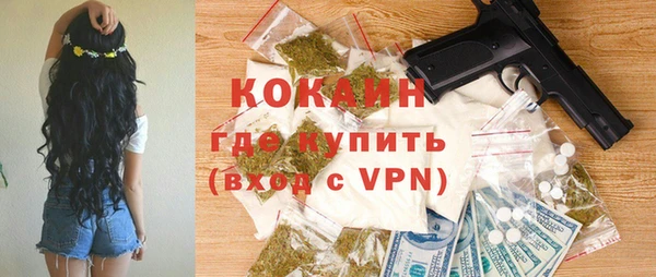 индика Аркадак