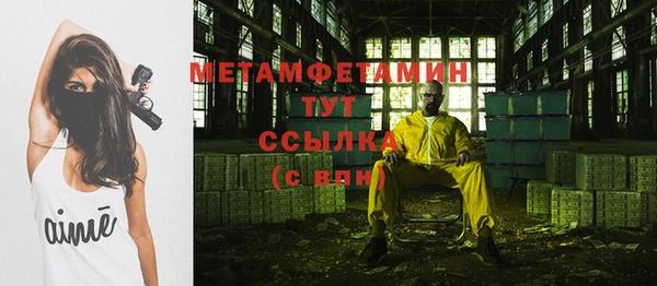 индика Аркадак