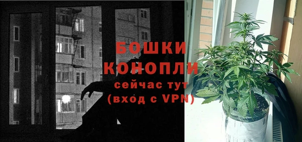 индика Аркадак