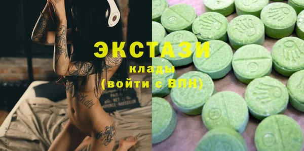 индика Аркадак